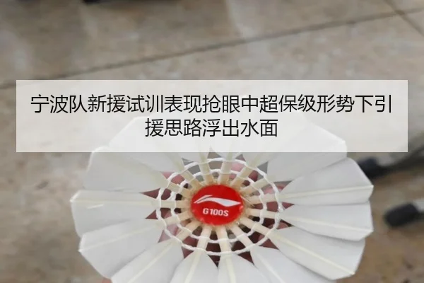 宁波队新援试训表现抢眼中超保级形势下引援思路浮出水面
